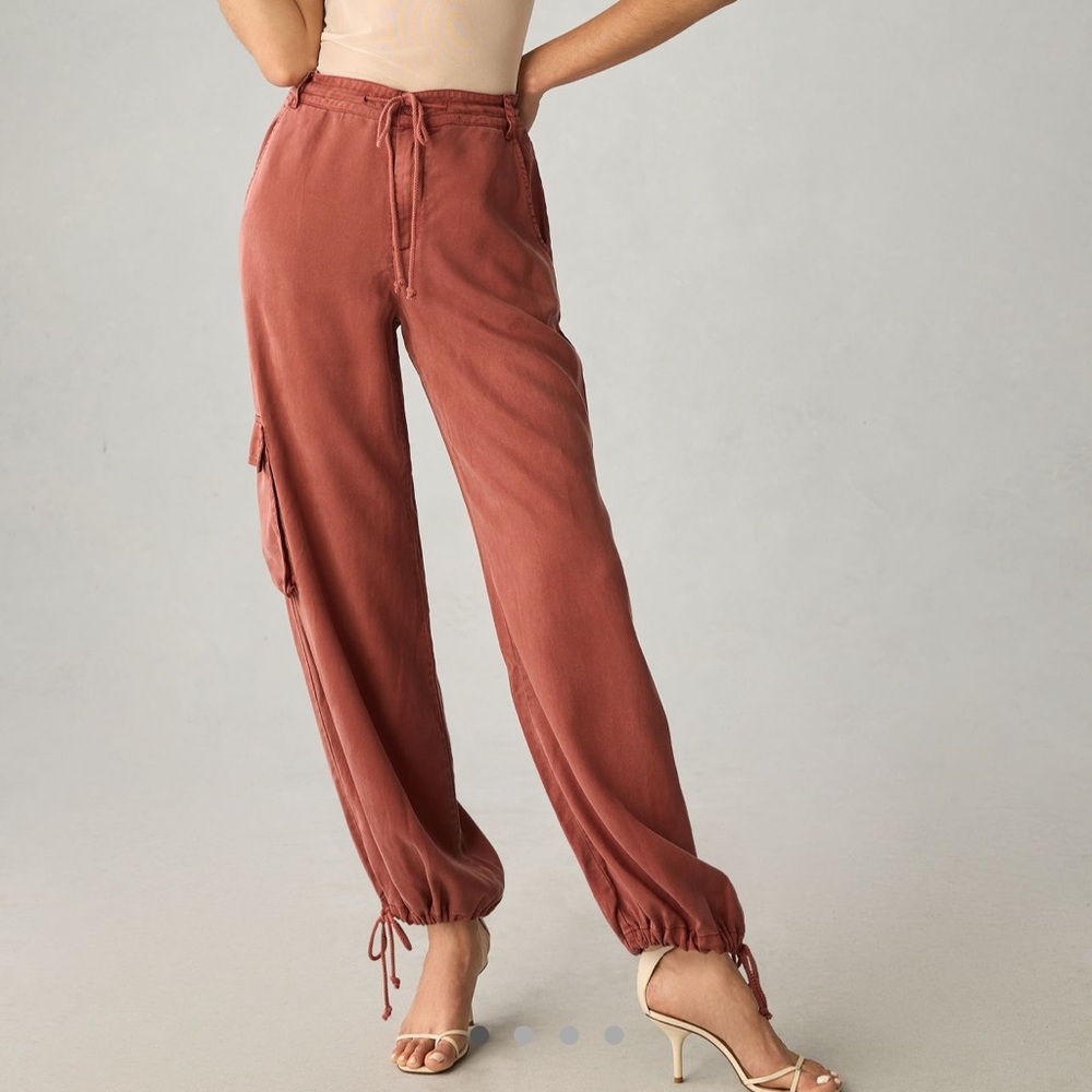 Anthropologie On The Road Rust Cargo Jogger Pants - Picture 3 of 8